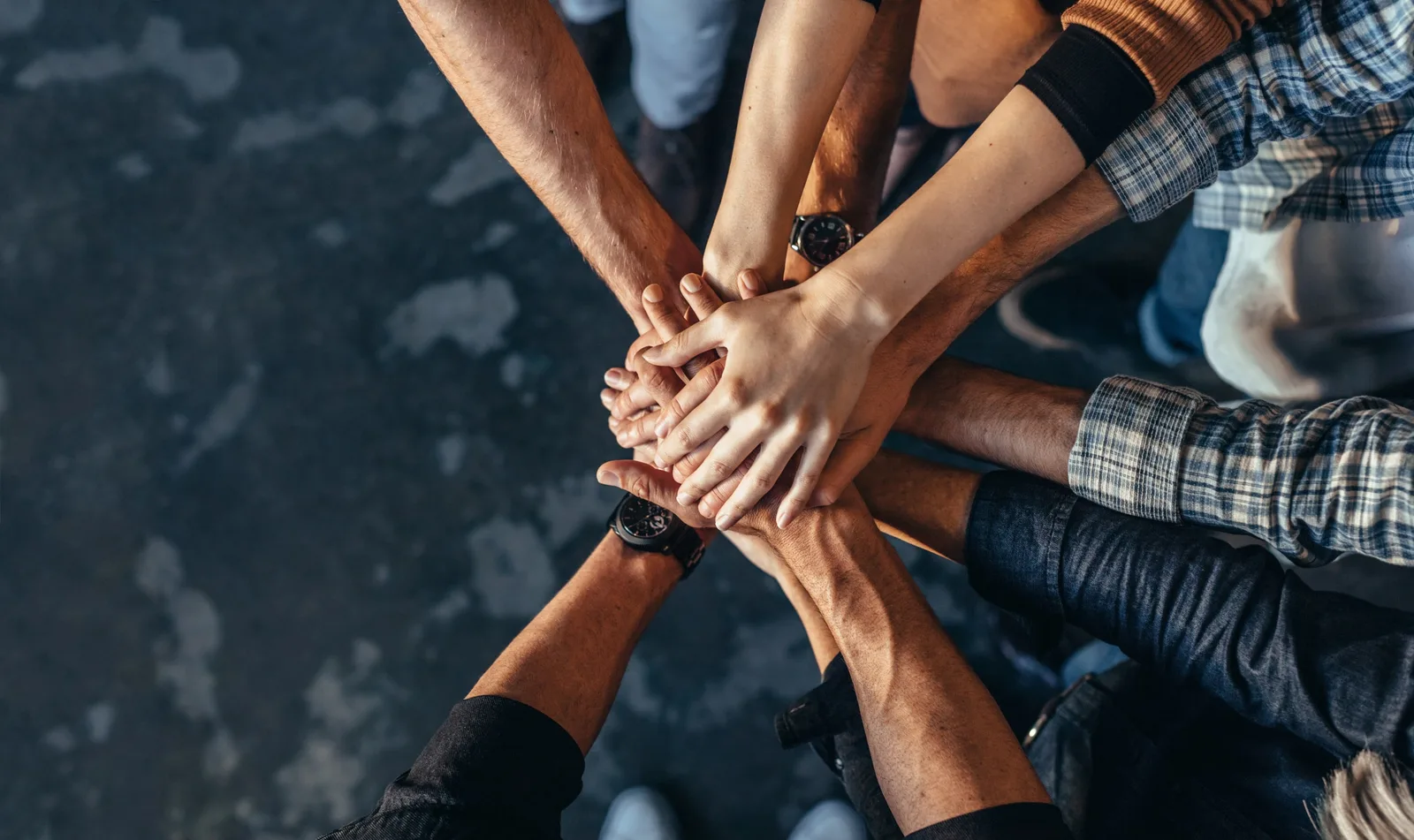 Multicultural Executive Search Recruiters