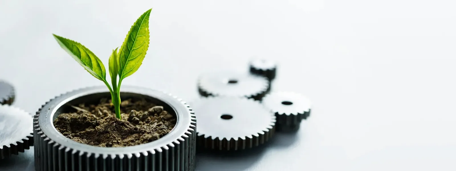 Empirical and methodical approaches in nature of work.